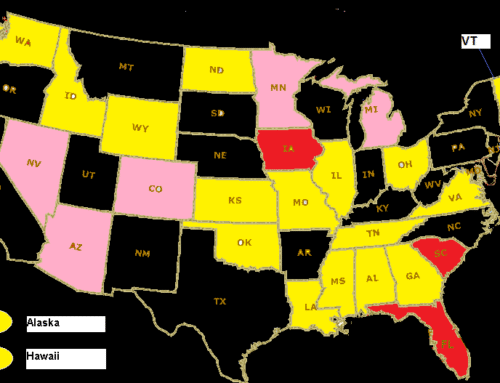Decision 2025: New Orleans poll